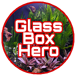 Glass Box Hero