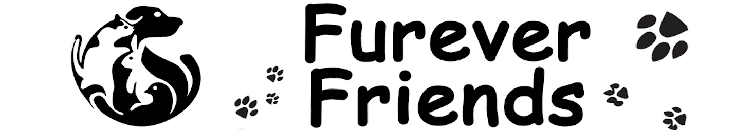 Furever Friend