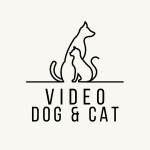 Video Dog Cat