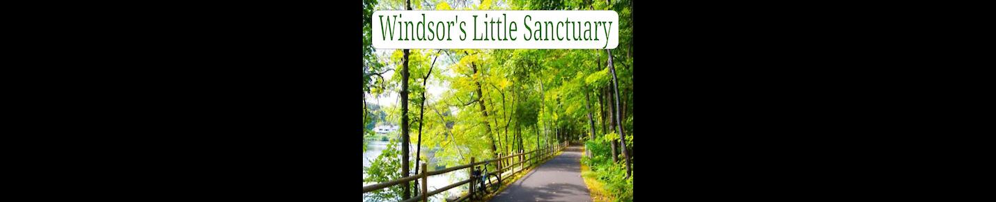 Windsor's Little Sanctuary