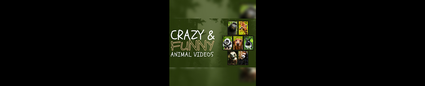 Crazy aand funny animals