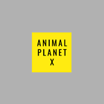 Animal Planet IXX
