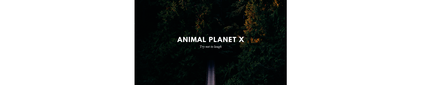 Animal Planet IXX