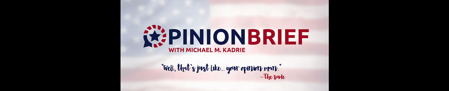 Opinion Brief