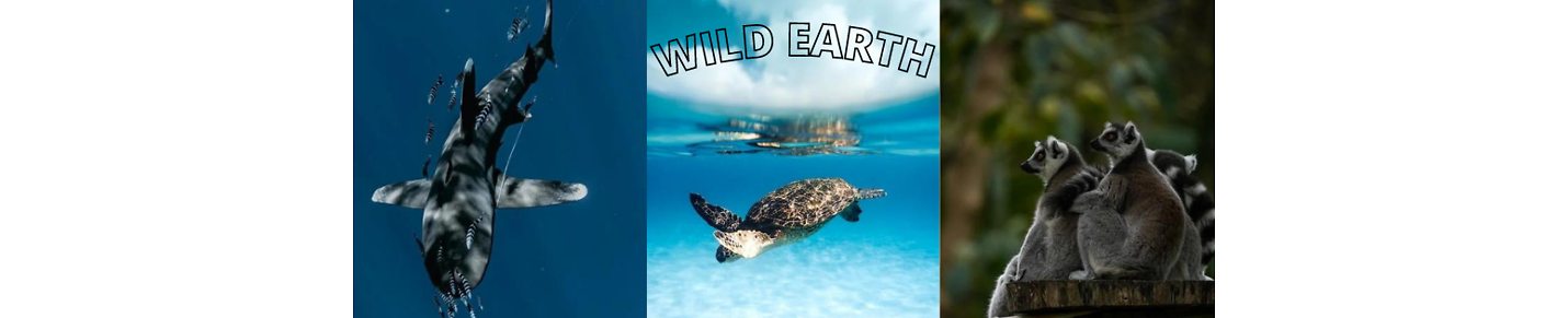 Wild Earth