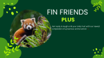 FINFRIENDS PLUS 24