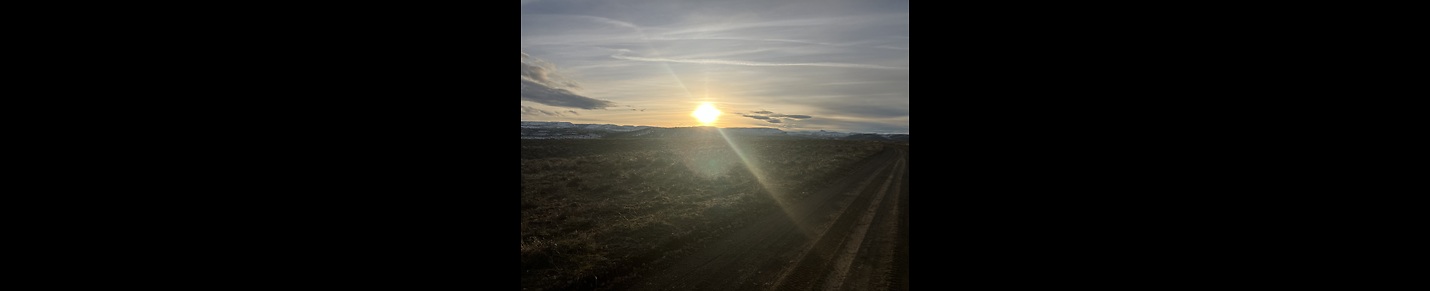 How to be a Ranch Hand