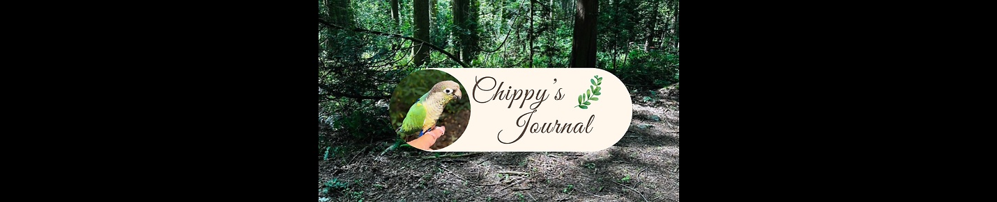 Chippy's Journal