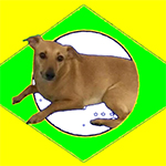 Shitpost Brasil