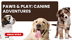 Paws Play Canine Adventures