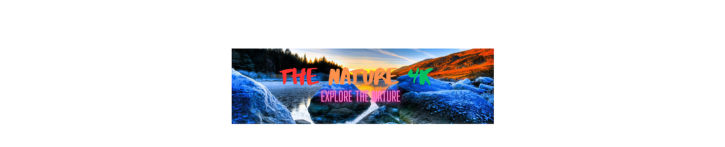 Explore The Nature In 4k!!