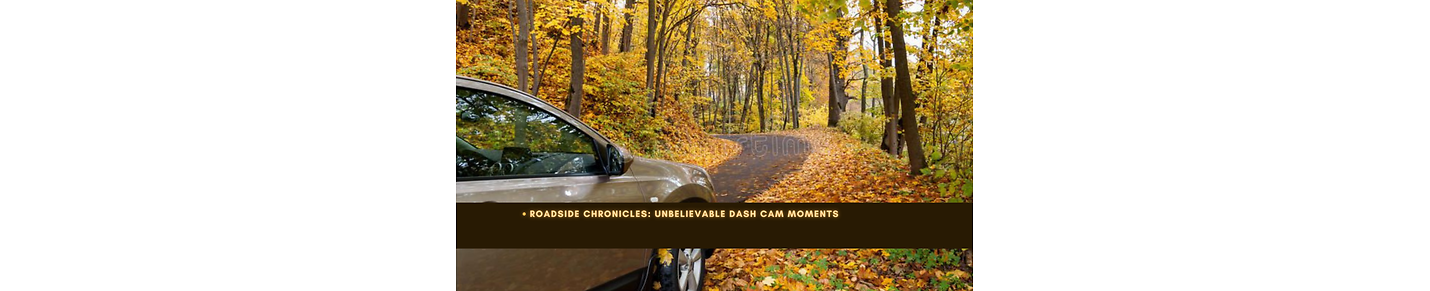 Roadside Chronicles: Unbelievable Dash Cam Moments