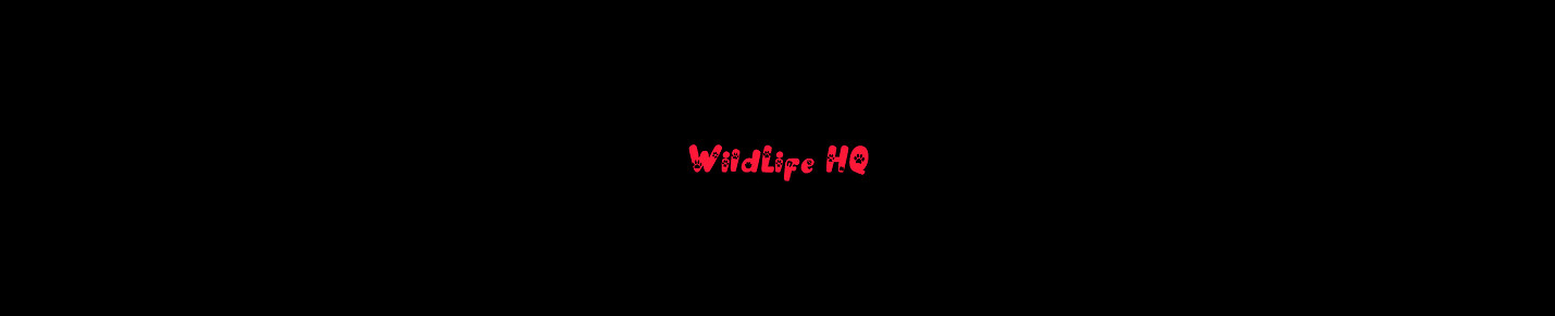 WildLife HQ