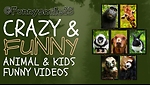 Animals and kids funny videos
