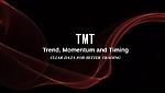 TMT Trading Report