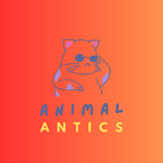 Animal Antics