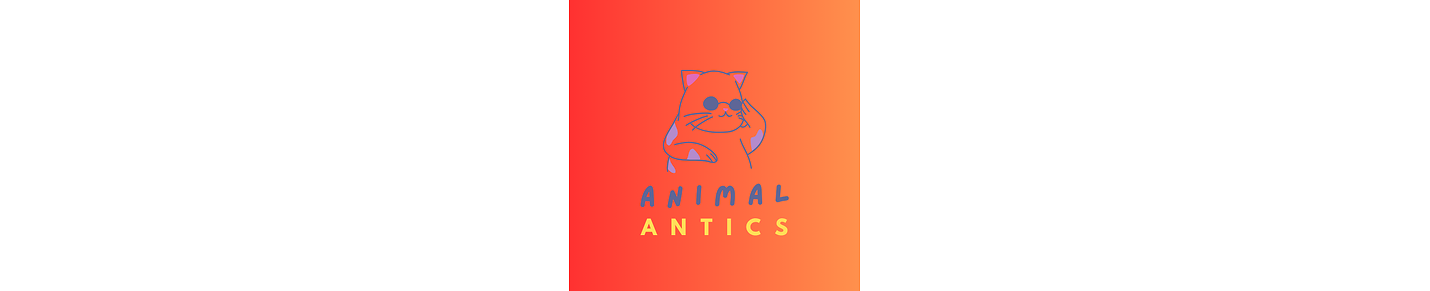 Animal Antics