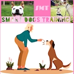 Dog Training // How to Teach your Dog// Trained Your Dog
