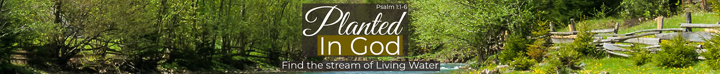 Planted In God