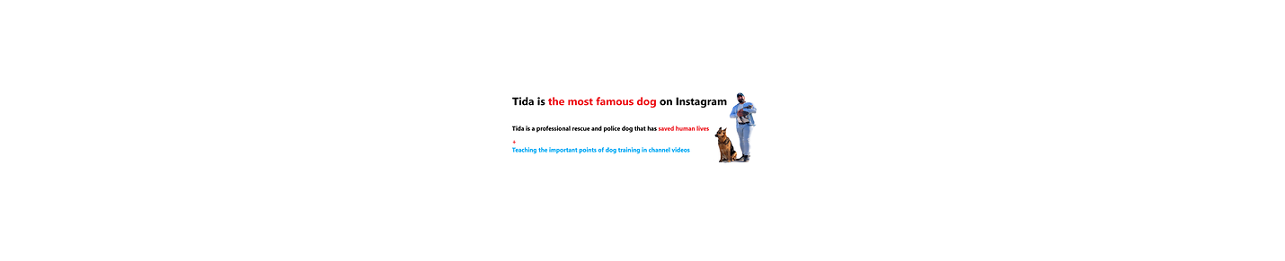 Tida Dog is the most famous Police and Rescue dog on Instagram