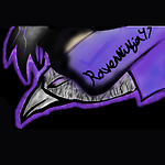 RavenNinja47