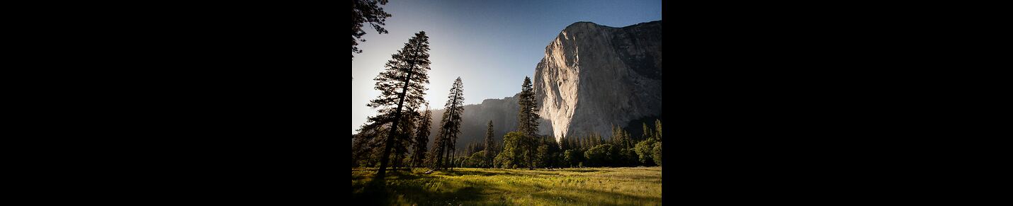 "Exploring Green Horizons: Journeying through Nature's Beauty"