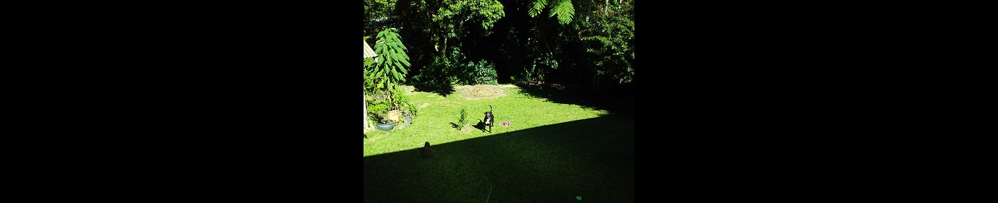 The Dogue House Kuranda