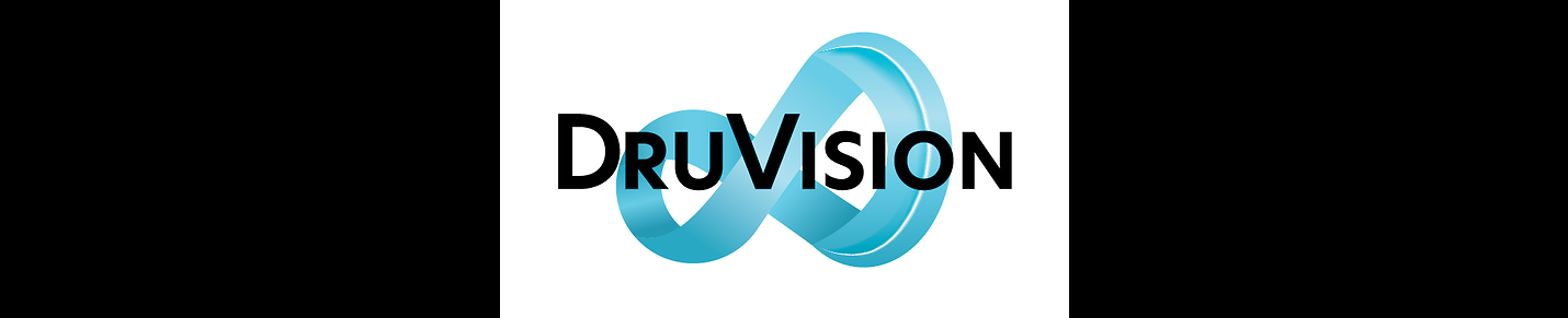 DruVision IT Consulting