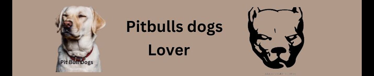 Pitbulls dogs lover