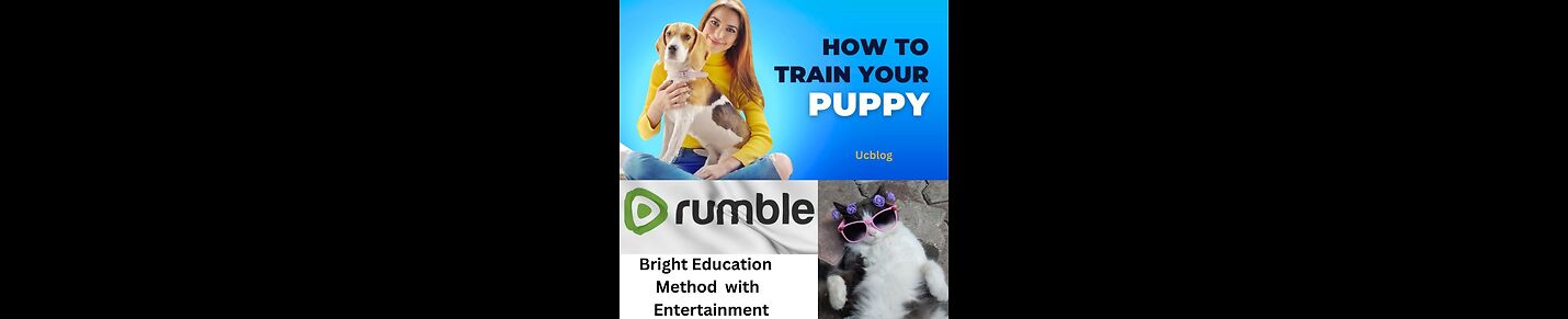 How to traind your pupy