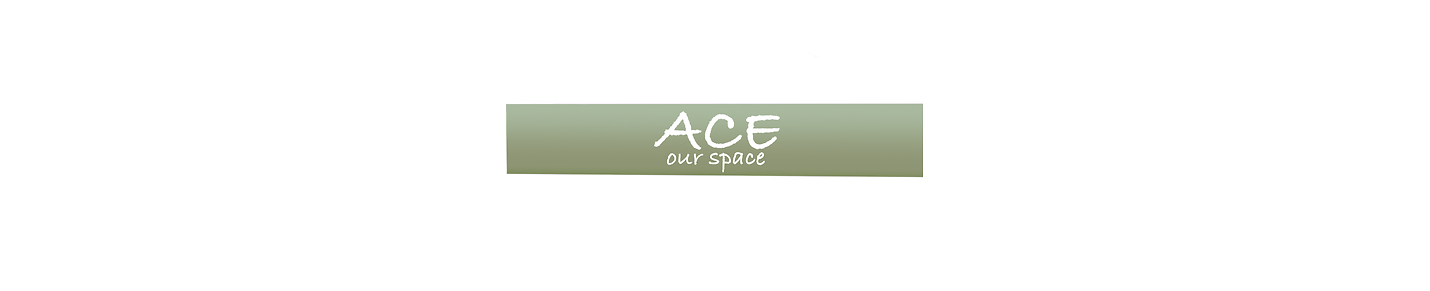 ACE our space