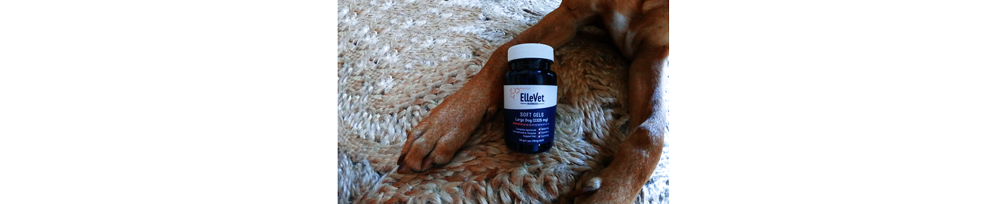 What is ElleVet?