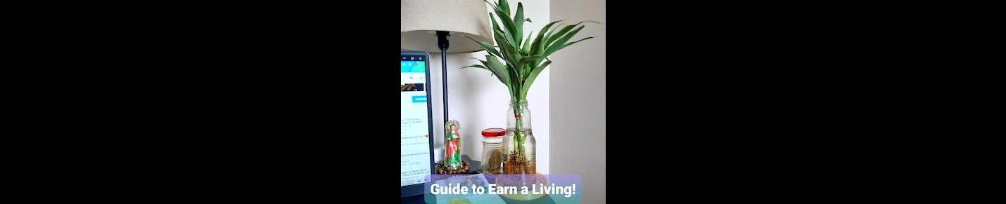Guide to Earn A Living