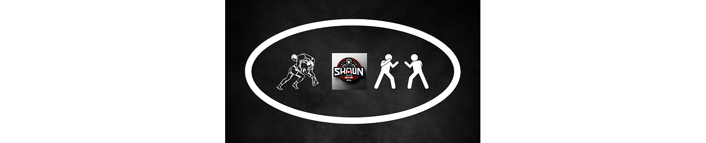 Shaun Talks MMA