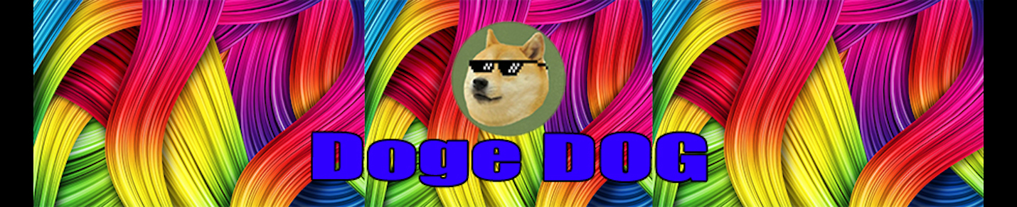 Doge Dog Lifestyle