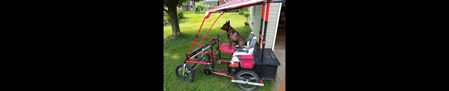 Pedal Buggies of NE Ohio