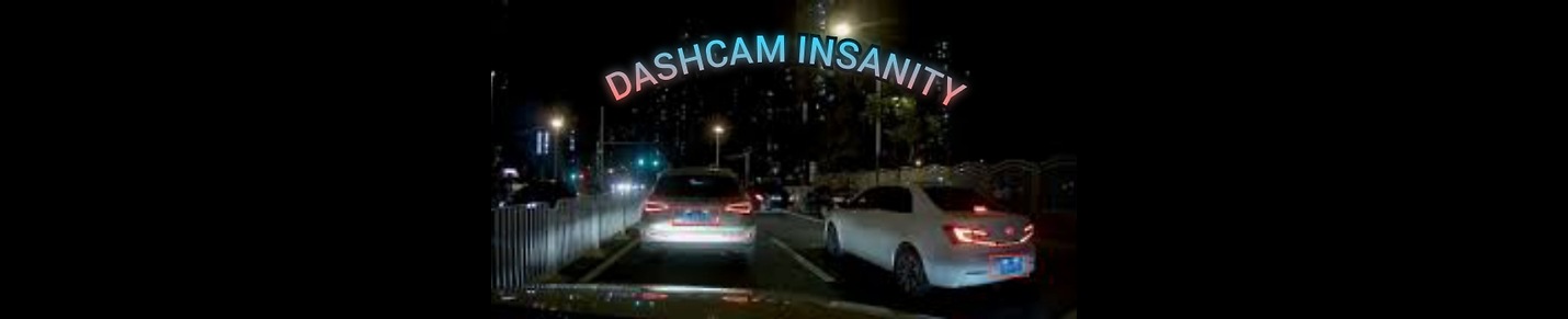 Dashcaminsanity