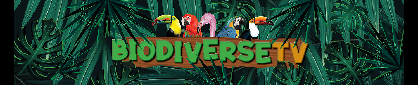 @BioDiverseTv