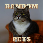 Random Pets