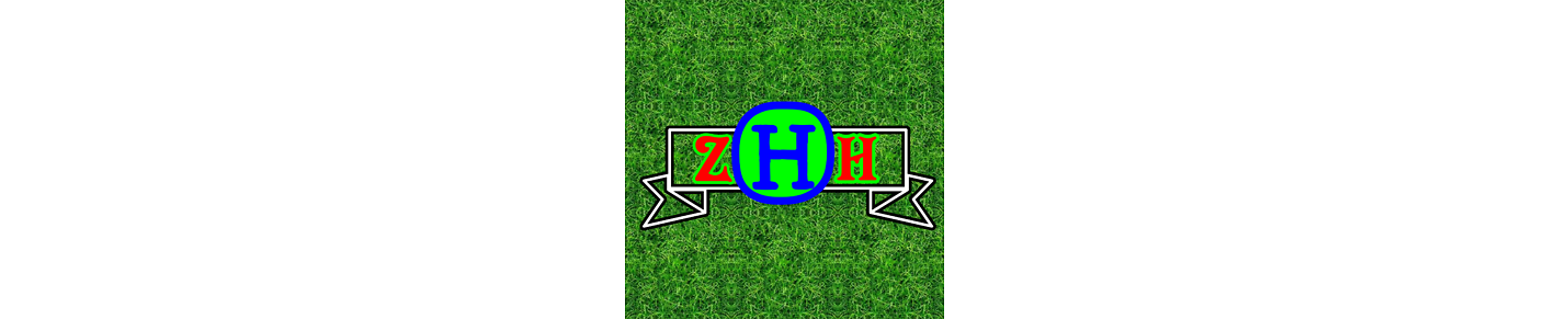 ZHH Channel