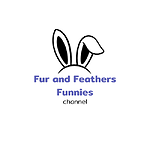 Fur and Feathers Funnies