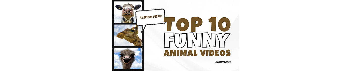 Laugh Safari: Hilarious Animal Antics Unleashed!