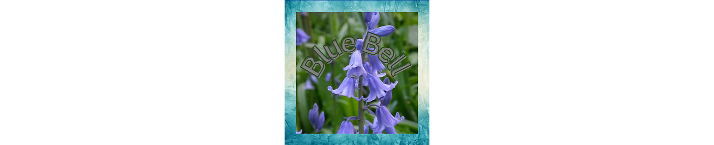 BLUE BELL RUMBLE Channel