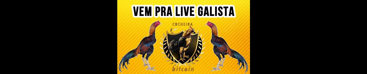 COCHEIRA BITCOIN