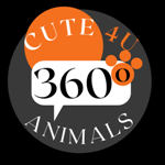 Cute4uAnimals360Online