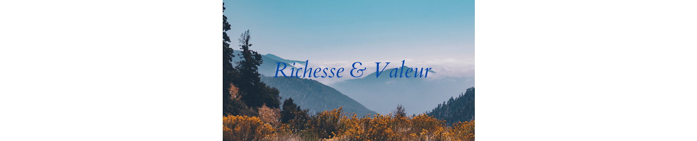 Richesse & Valeur