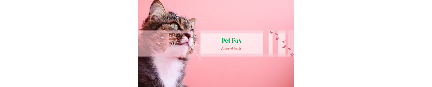 PET FAX