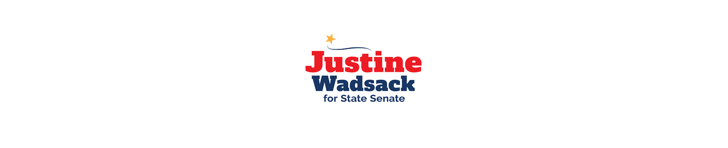 State Senate Candidate