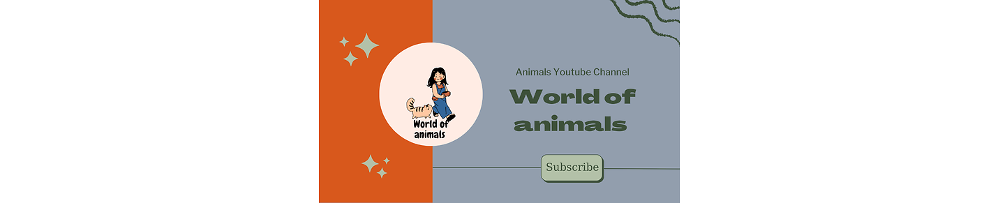 Best Funny Animal Videos 2023 (#17)