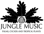 jungleboymusic